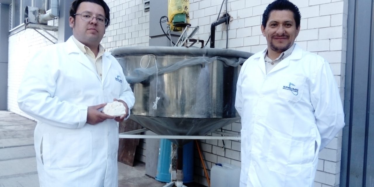 Investigadores buscan purificar caolín para usarlo industrialmente