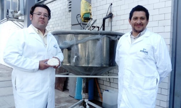 Investigadores buscan purificar caolín para usarlo industrialmente