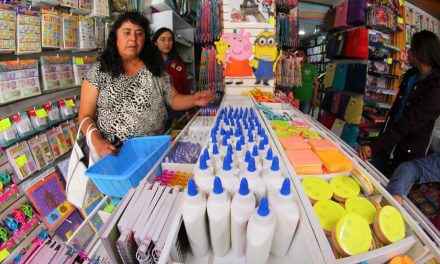 Cierran 25% de papelerías de Hidalgo por crisis