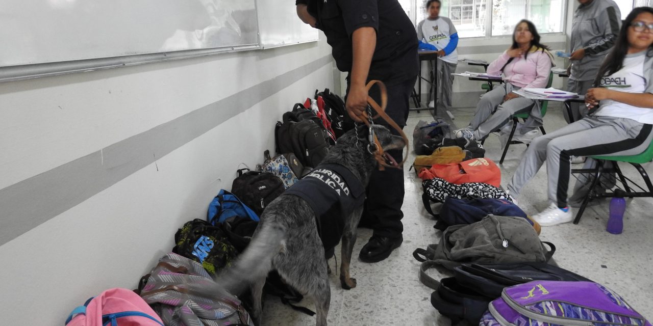 Realizan operativo mochila en Tolcayuca