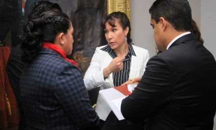 Pérez Perusquía afirma que ella preside la junta de gobierno