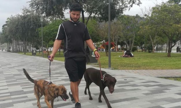 Multarán a quien no recoja heces de sus mascotas o las descuide en MR