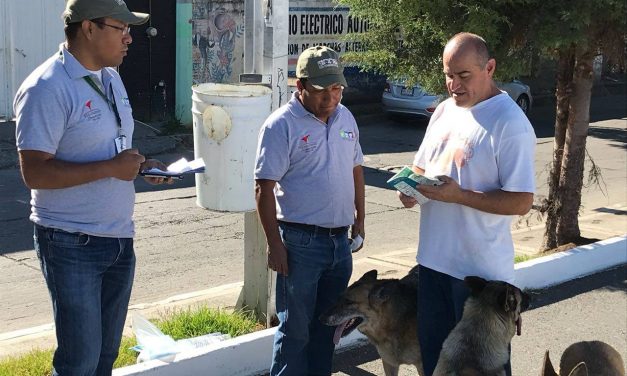 Indispensable fomentar la adopción de perros de callejeros