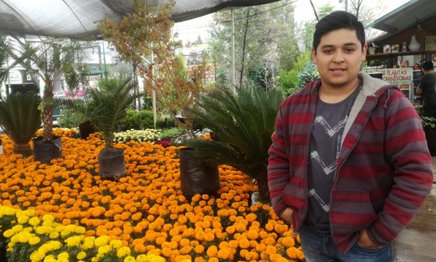 Comienza venta de flores de cempasúchil