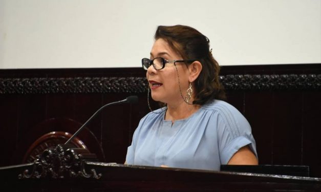 Eliminar seguro médico para legisladores locales, propone diputada de Morena