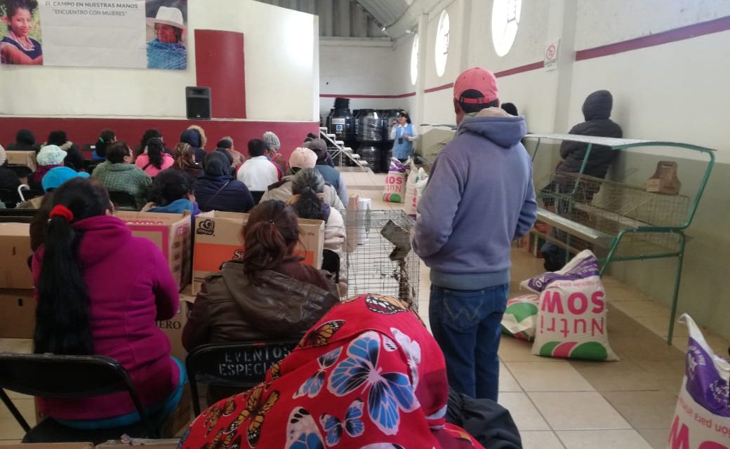 Entregan paquetes de apoyo de autoconsumo en Santiago Tulantepec