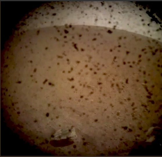 Sonda InSight aterriza en Marte