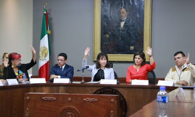 María Luisa Pérez Perusquía presidirá comisión de Recursos Naturales