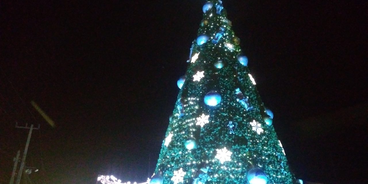 Encienden árbol de navidad en Mineral de la Reforma