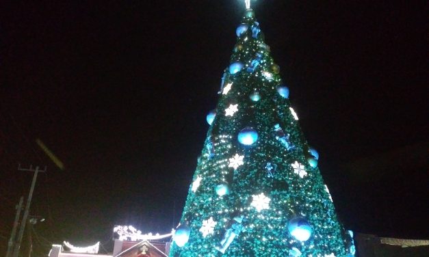 Encienden árbol de navidad en Mineral de la Reforma