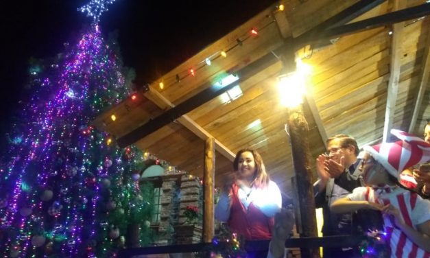Encienden árbol de Navidad en Villa de Tezontepec