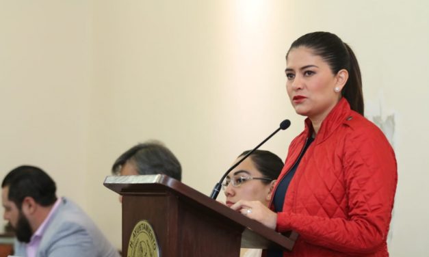 Liliana Verde rechaza medida aprobada por el Cabildo