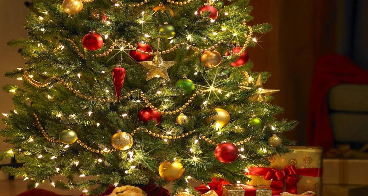 PC emite recomendaciones sobre colocación de árboles de navidad