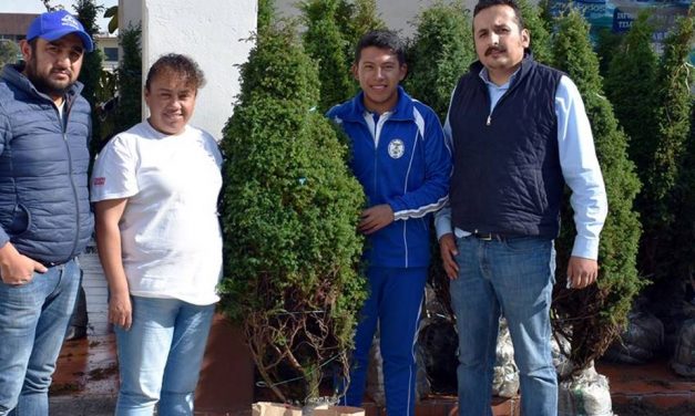 Implementan programa de venta de árboles navideños en Zapotlán