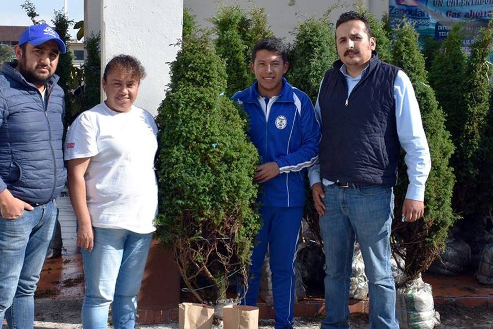 Implementan programa de venta de árboles navideños en Zapotlán