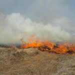 Hidalgo intensifica acciones ante temporada de incendios