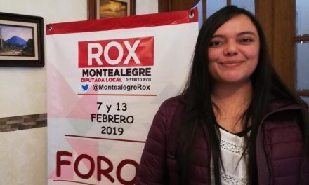 Montealegre promueve ley de fomento a las organizaciones civiles