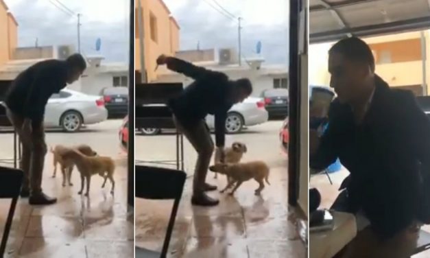 Procederán legalmente contra hombre que agredió a un perro en Piedras Negras