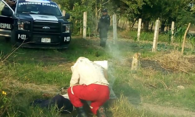 Enjambre de abejas atacó a un hombre de Huejutla