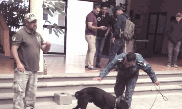 Certifican a perros policía de la SSPH en congreso internacional