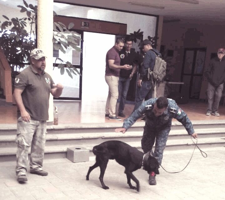 Certifican a perros policía de la SSPH en congreso internacional