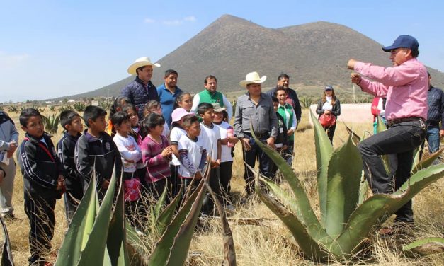 Supervisan construcción de Olla de Captación de Agua en Zempoala