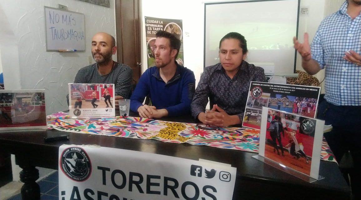 Biofutura presentó denuncia por corrida de toros en Pachuca: acusa ilegalidad