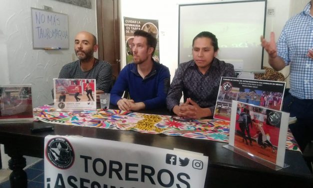 Biofutura presentó denuncia por corrida de toros en Pachuca: acusa ilegalidad