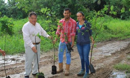 Inician campaña de reforestación con la venta de árboles frutales