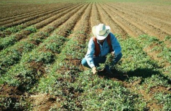 El campo está olvidado por el gobierno, señalan hidalguenses