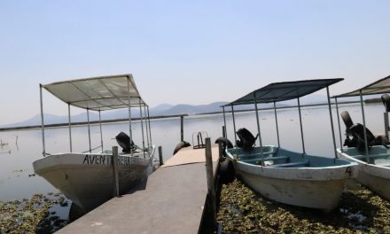 Buscan restauración ecológica de la Laguna de Tecocomulco