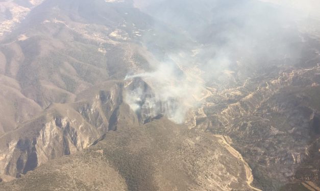 Se registraron 13 incendios forestales en Hidalgo durante Semana Santa