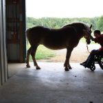 UPP ofrece rehabilitación a través de terapias con caballos