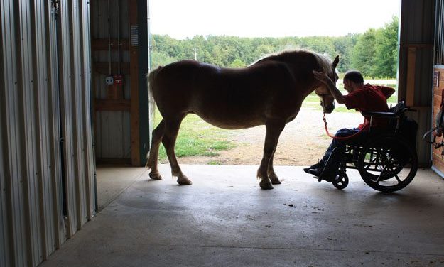 UPP ofrece rehabilitación a través de terapias con caballos