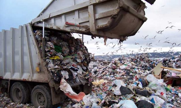 Regidora acusa que no hay proyecto para atender problema de la basura de Pachuca