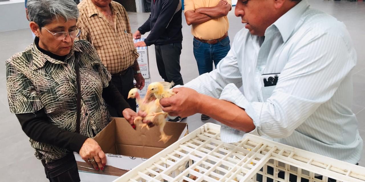 Entregan paquetes de aves de traspatio en Tolcayuca