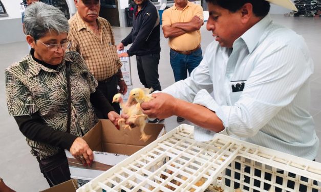 Entregan paquetes de aves de traspatio en Tolcayuca