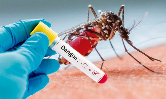 Suma Hidalgo 253 casos de dengue