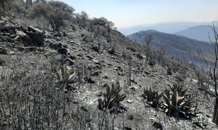 Incendio forestal de Pachuca consumió 70 hectáreas