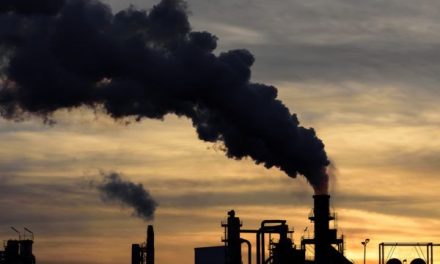 Suspende a 50 empresas por no acatar medidas de contingencia ambiental