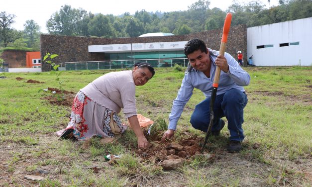 Alumnos de la UICEH realizan reforestación