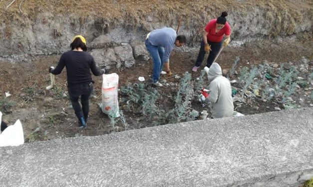 Jóvenes de Villa de Tezontepec se unen en pro del medio ambiente