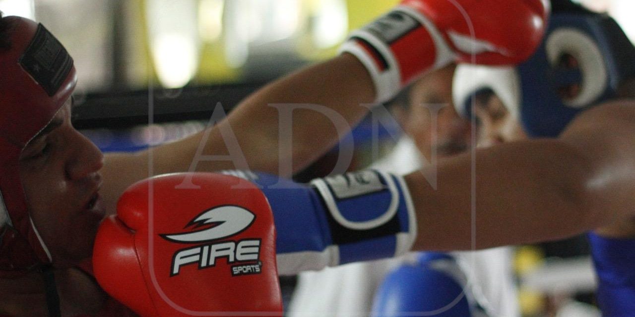 Seleccionados panamericanos de box, hoy en Gym Perea