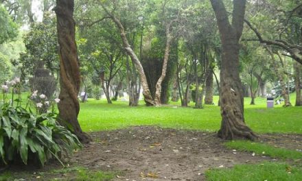 En Pachuca no se respetan las áreas verdes
