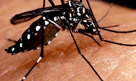 Aumentan casos de dengue en la Huasteca