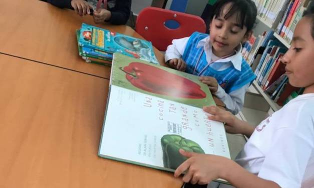 Inician el próximo lunes Mis Vacaciones en la Biblioteca en Tolcayuca