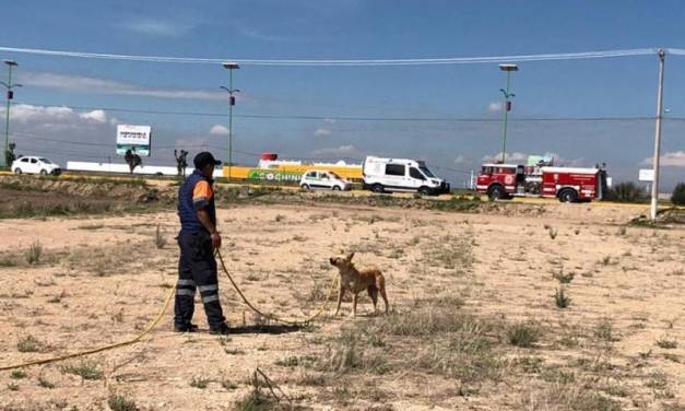 Autoridades de Zapotlán niegan existencia de fosas clandestinas en Acayuca