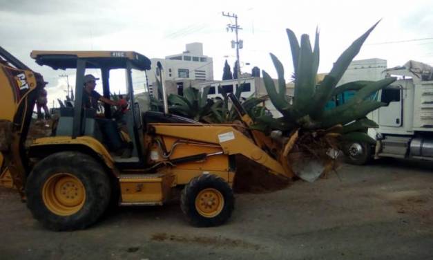 Modifican circulación en acceso a Tepeapulco