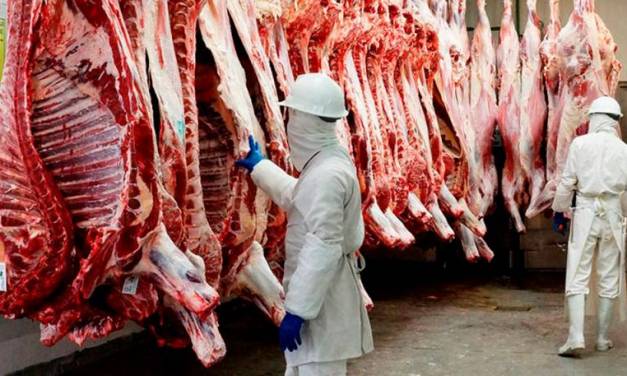 Exhorta ONU a disminuir consumo de carne para combatir el cambio climático
