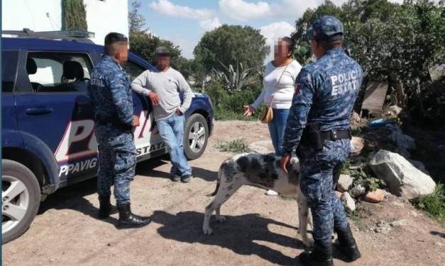 Policía de Género de la SSPH auxilia a probables víctimas de violencia física y sexual